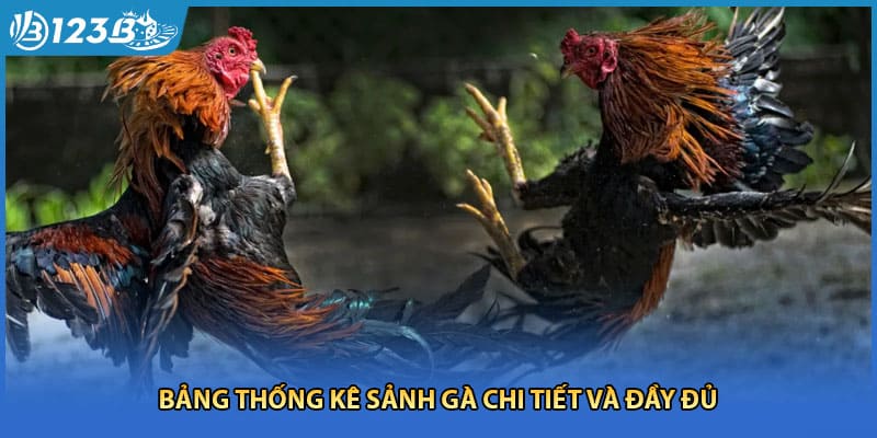 Bảng thống kê sảnh gà chi tiết và đầy đủ