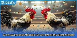 Đá Gà Cựa Dao Bí Kíp Mở Chiến Cục Sát Phạt Không Khoan Nhượng