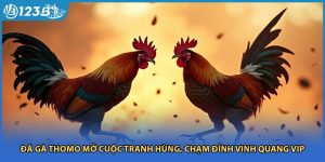 Đá Gà Thomo Mở Cuộc Tranh Hùng, Chạm Đỉnh Vinh Quang Vip