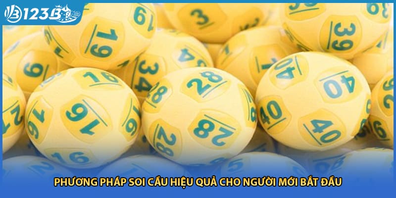 Phương pháp soi cầu hiệu quả cho người mới bắt đầu