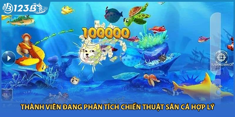 Thành viên đang phân tích chiến thuật săn cá hợp lý