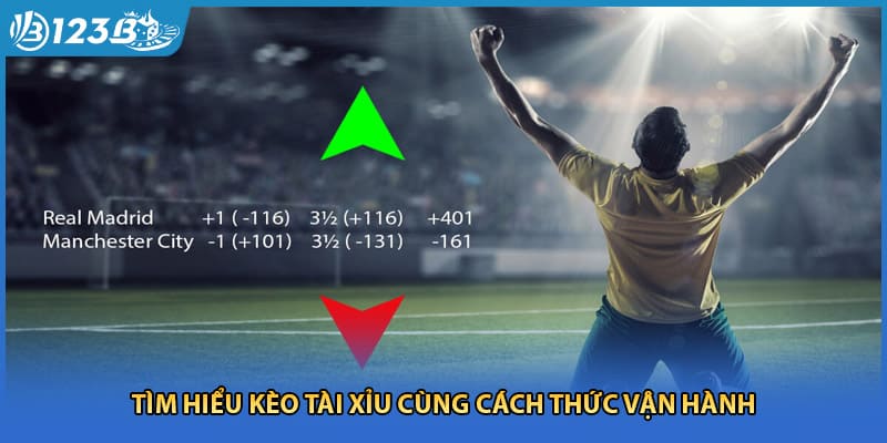 Tìm hiểu kèo tài xỉu cùng cách thức vận hành