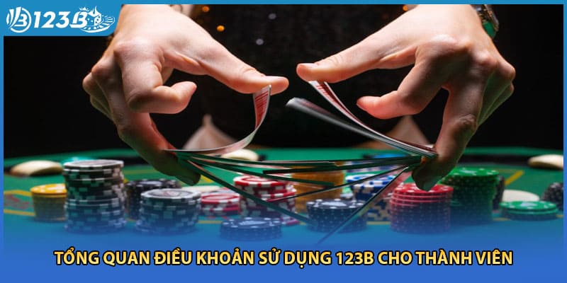 Tổng quan điều khoản sử dụng 123B cho thành viên