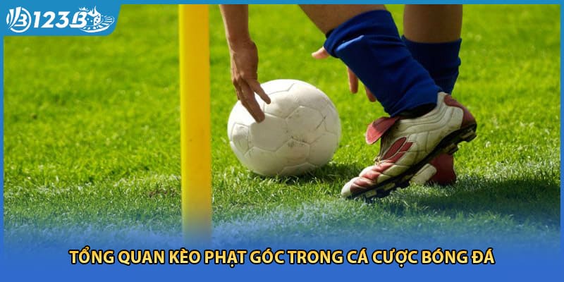 Tổng quan kèo phạt góc trong cá cược bóng đá