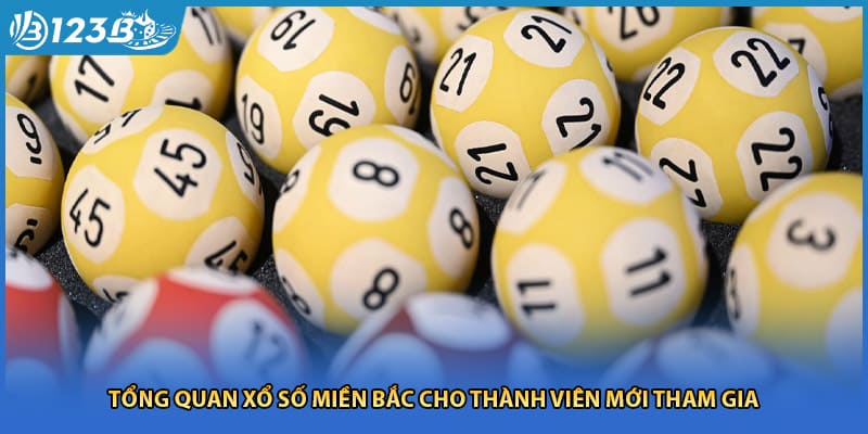 Tổng quan xổ số miền bắc cho thành viên mới tham gia