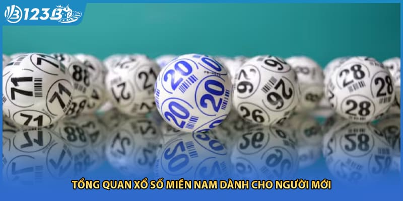 Tổng quan xổ số miền nam dành cho người mới