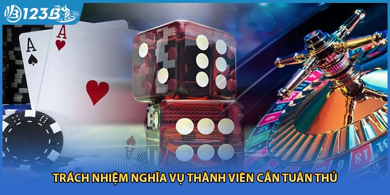 Trách nhiệm nghĩa vụ thành viên cần tuân thủ